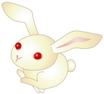 2011usagi3.jpg