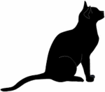 cat.gif