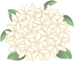 flower.jpg