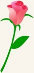r-01.jpg