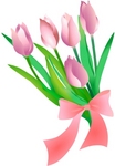 tulip-001.jpg