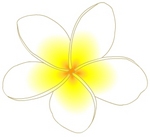 puru001.jpg