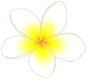 ラブリープルメリア ハワイ 花 イラスト すべての美しい花の画像