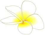 puru002.jpg