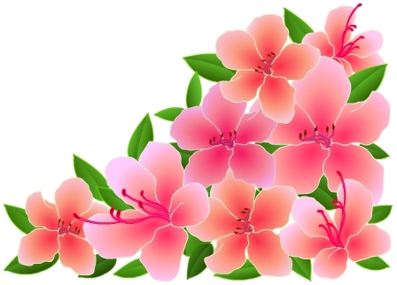 75 5月花 イラスト 無料 美しい花の画像